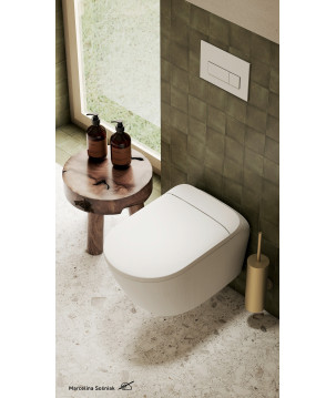 Szczotka WC wisząca
