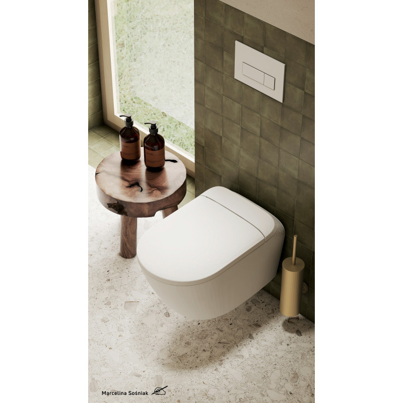 Szczotka WC wisząca