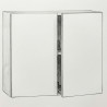 Mała szafka łazienkowa wisząca, biały mat elegancka 52,5x60x30